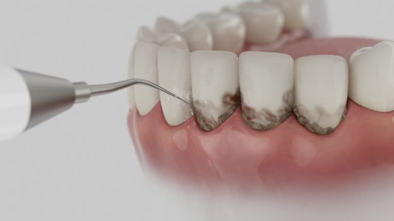 Reliable Dental contractor in Norton Shores, MI by Dentist Open Now